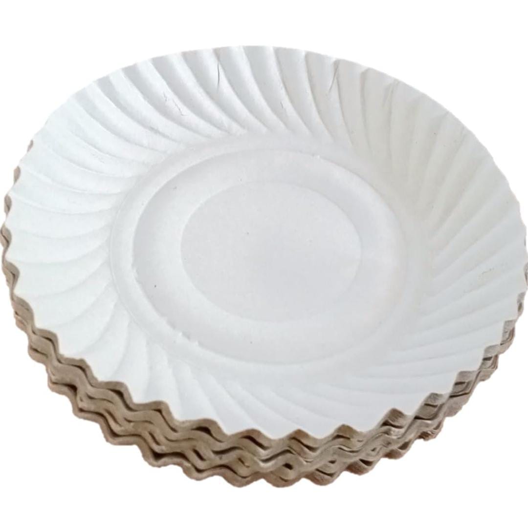 White Paper Plates | 25 Pack | Disposable Plates