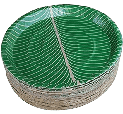 Disposable Plates | Pack of 25
