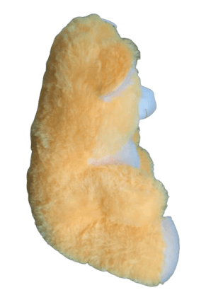 Cute and Soft Orange Teddy Bear Plushie Toy for Kids