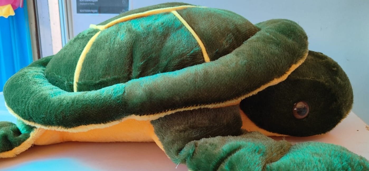 Giant Green and Yellow Turtle Plush Toy