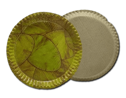 100% Natural Areca Leaf Plates | Disposable and Eco-Friendly | 8 Inches | Pack of 25