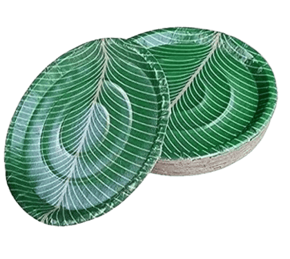 100% Natural Areca Leaf Plates | Disposable and Eco-Friendly | 8 Inches | Pack of 25