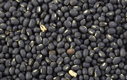 Organic Black Urad Dal Whole Unpolished - 450g