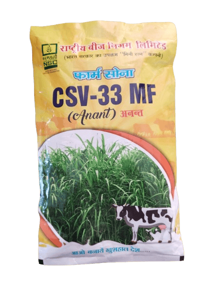 NSC Sorghum CSV-33 MF (Anant)  Variety, 250 gm  T/L Seed