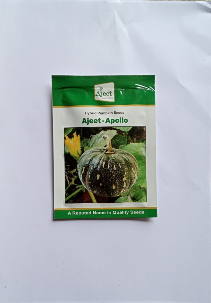 Pumpkin Seeds