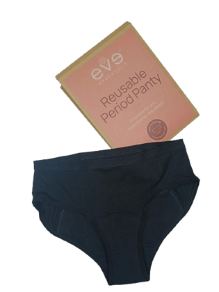 Reusable Period Panty (For Moderate to High Flow)