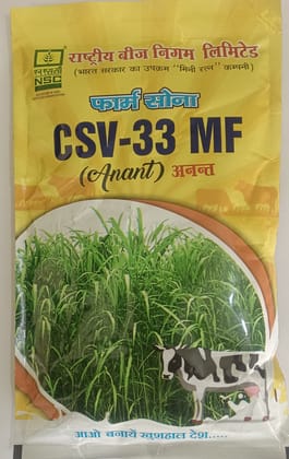 NSC SORGHUM CSV-33 MF (Anant) NSC SORGHUM CSV-33 MF (Anant)