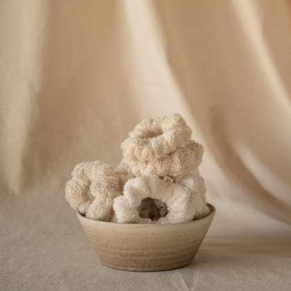 Dolce Vanilla Scrunchies (pack of 6)
