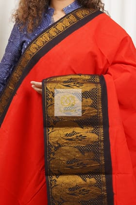 Madurai Sungudi Cotton Saree