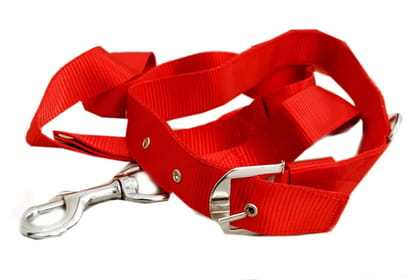 Jacky Treats Dog Collar and Leash Set 1 inch (Colour May Vary)