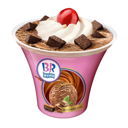 Baskin Robbins Mississippi Mud Sundae, 165 Ml