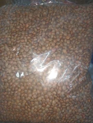 Kali masur daal