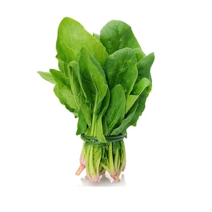 Spinach - Palak