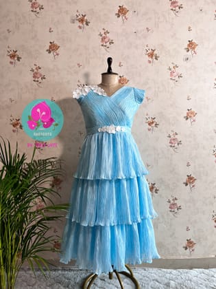 Pleated Organza Cinderella Frock-2XS