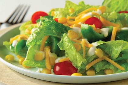 Chicken Garden Green Salad