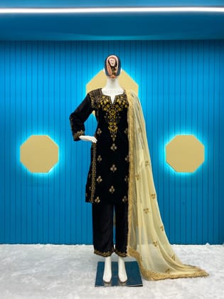 Wonderful Embroidery Work Black Velvet Salwar Suit-M
