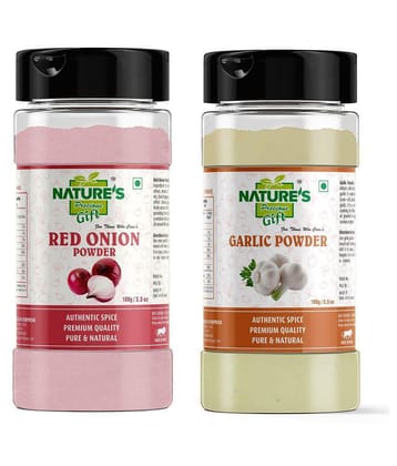 Natures Gift - 100 gm Ginger powder (Pack of 2)