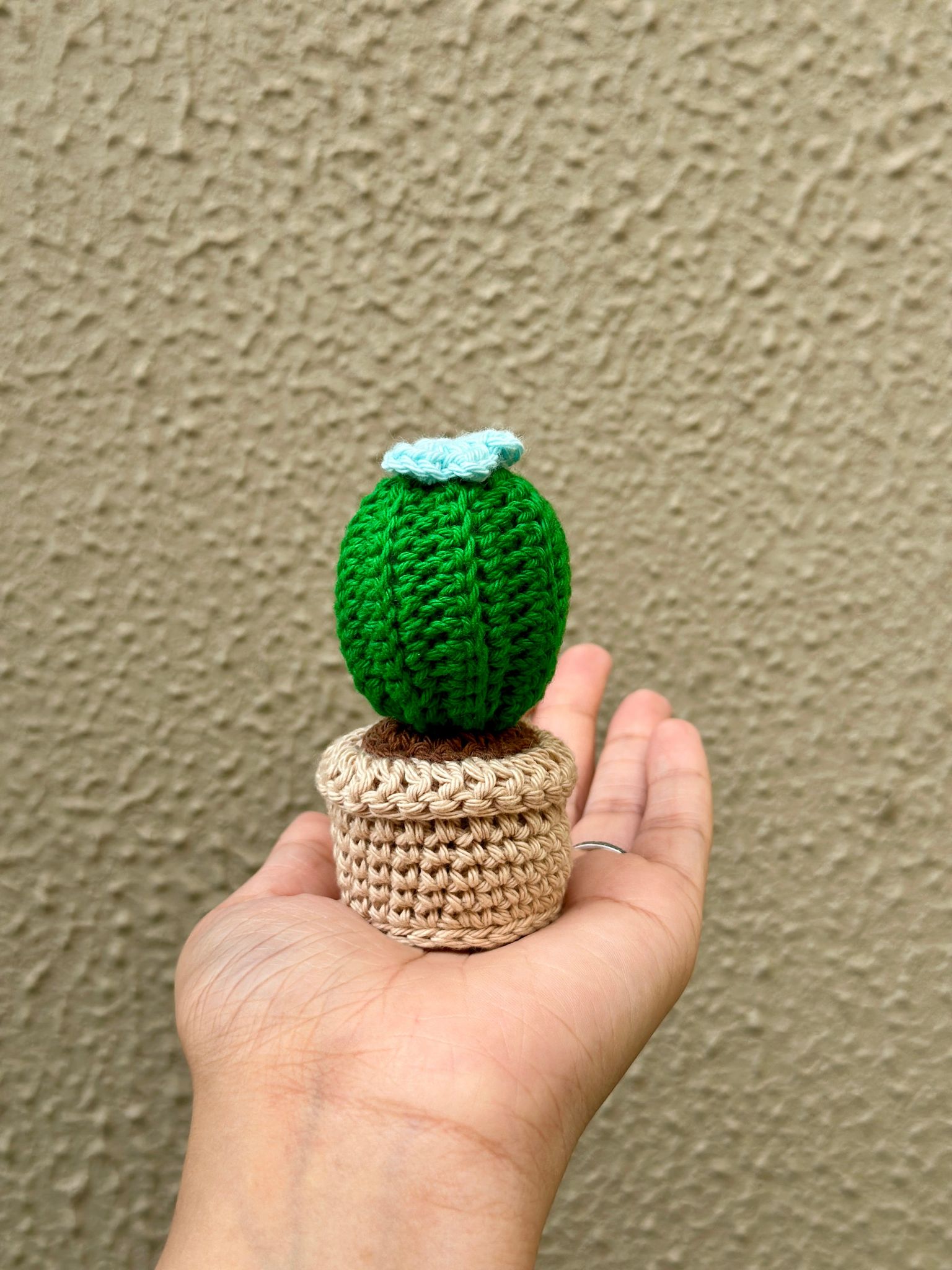 Crochet cactus flower pot