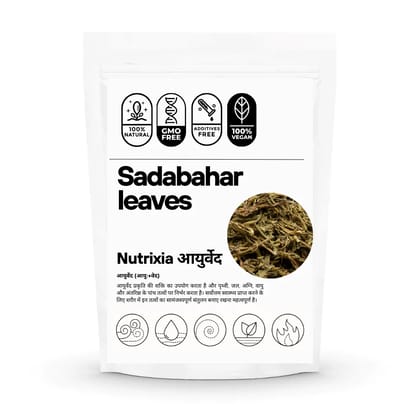 Sadabahar Leaves Patti- Periwinkle Leaves - Vinca Rosea-50 Gms