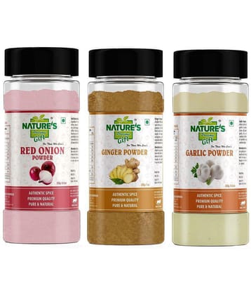 Natures Gift Garlic Powder 250 gm, Red Onion Powder 250 gm & Ginger Powder 200 gm - for Cooking & Seasoning Powder 700 gm Pack of 3