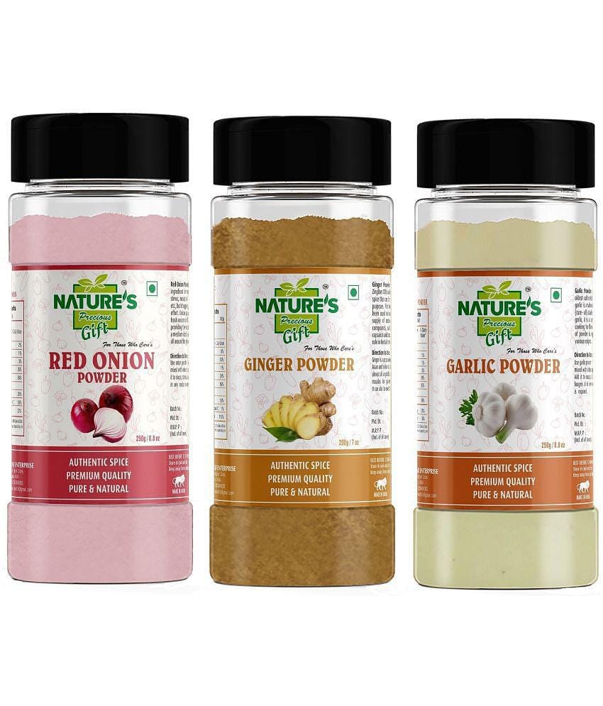 Natures Gift Garlic Powder 250 gm, Red Onion Powder 250 gm & Ginger Powder 200 gm - for Cooking & Seasoning Powder 700 gm Pack of 3