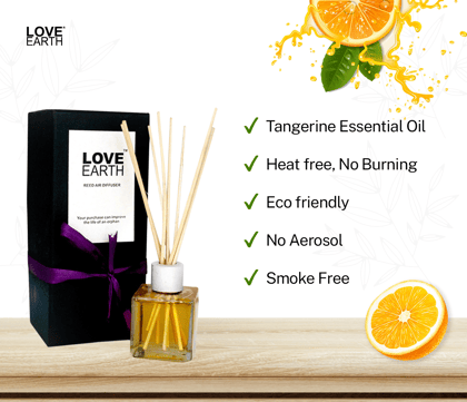 Love Earth Premium Reed Diffuser Orange Natural Long-Lasting Fragrance