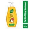 Nyle Naturals Soft & Shiny Shampoo - With Apple Cider Vinegar & Argan Oil, 800 ml