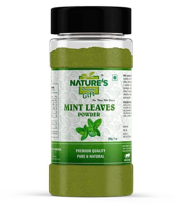 Nature''s Gift Mint Leaves Powder - 7 Oz Spice Jar Powder 200 gm