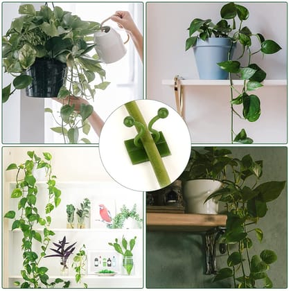 6156A 30 Pcs Wall Plant Climbing Clip Widely Used For Holding Plants And Poultry Purposes And All (Box)