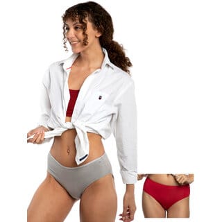 Ashleyandalvis Bamboo Micro Modal, Anti Bacterial, Skinny Soft, Premium Hipster Women Hipster Grey, Red Panty (Pack Of 2 )