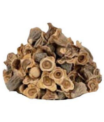 Nutrixia Food Bay Khumba - Careya Arborea-Vakumbha-Kumbhi-Baikhumba  100 gm