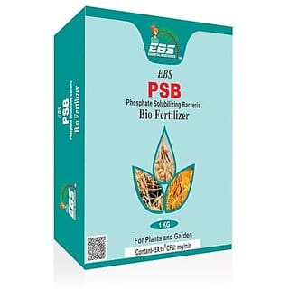 EBS PSB Bio fertilizer For all crops and plants (1kg (Pack of 1))