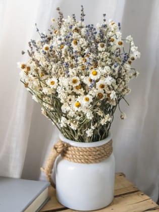 Pristine Bunch- Preserved Dried Flowers-Without Vase