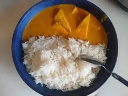 Shahi Paneer & Rice