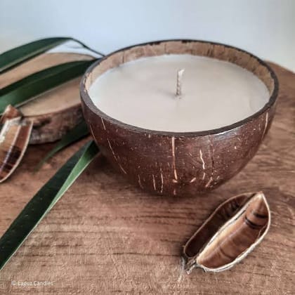 Coconut Shell Bowls-2