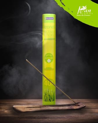 Citronella Incense Sticks (40 Pack) – Natural Bug Repellent