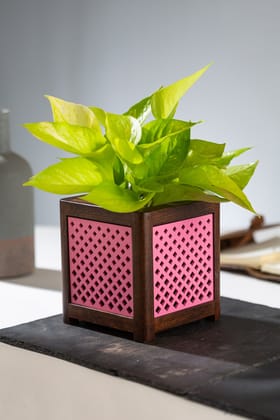 QUBO Pink Dotted Handmade Wooden Indoor Planter Geometric Pattern Durable Plant Pot