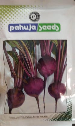 BEETROOT PAHUJA DYNASTY