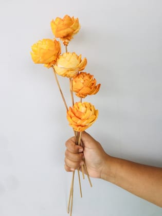 Ombre Ochre Sola Flower (5pcs)