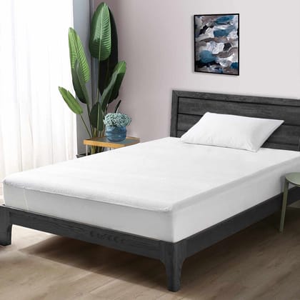 White Terry Cotton Soft & Breathable Water Proof Mattress Protector Cover for Single Bed - 36"x72"  - (MP-WHITE-SB)-Single / White / MP-WHITE-SB