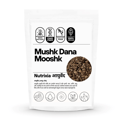 Mushk Dana - Mooshk Dana - Abelmoschus Moschatus - Ambrette Seeds-50 Gms