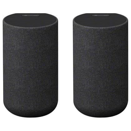 Sony SA-RS5 6.0 Channel Wireless Rear Speaker with Up to 10 hour of Battery Life (Black)