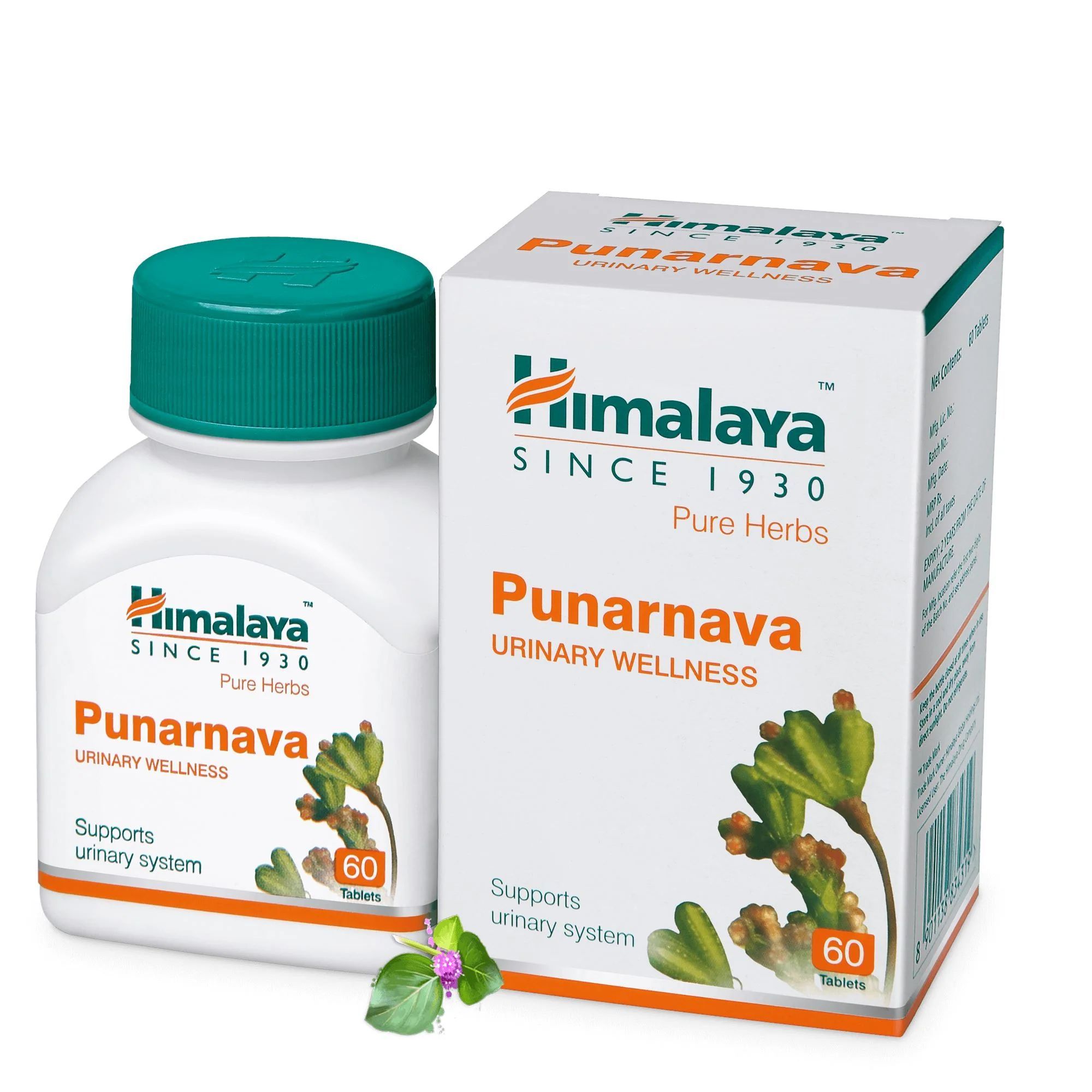 PUNARNAVA TABS 60'S INDIA 60 no.s