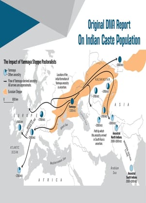 Original DNA Report Of Indian Caste Population (eBook/Digital)