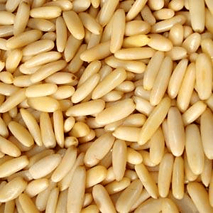 Havenuts Pine Nuts, 100 gm