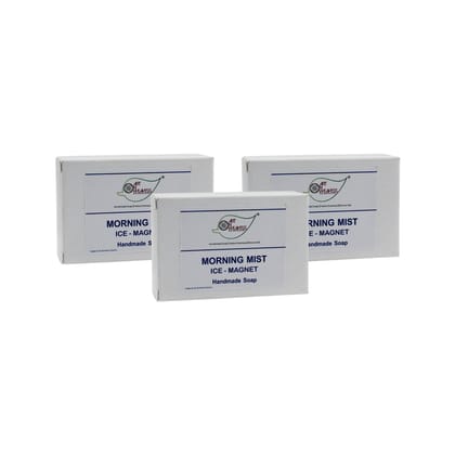 Artnweavess Morning Mist ICE MAGNET Handmade Soap NT, 100 gm - Pack of 3
