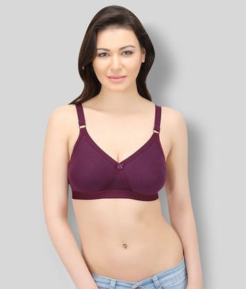 Elina - Purple Cotton Non - Padded Womens T-Shirt Bra ( Pack of 1 ) - None