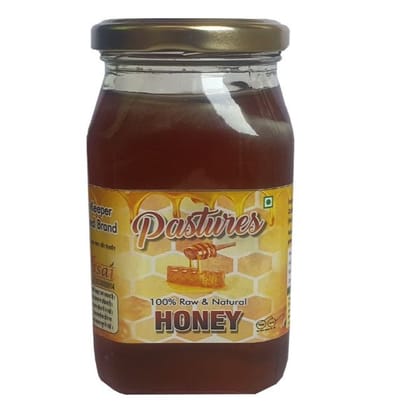 Pastures Honey 500 Gms