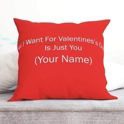 Customize  Cushion 02-Velvet Cushion / 16x16 / without