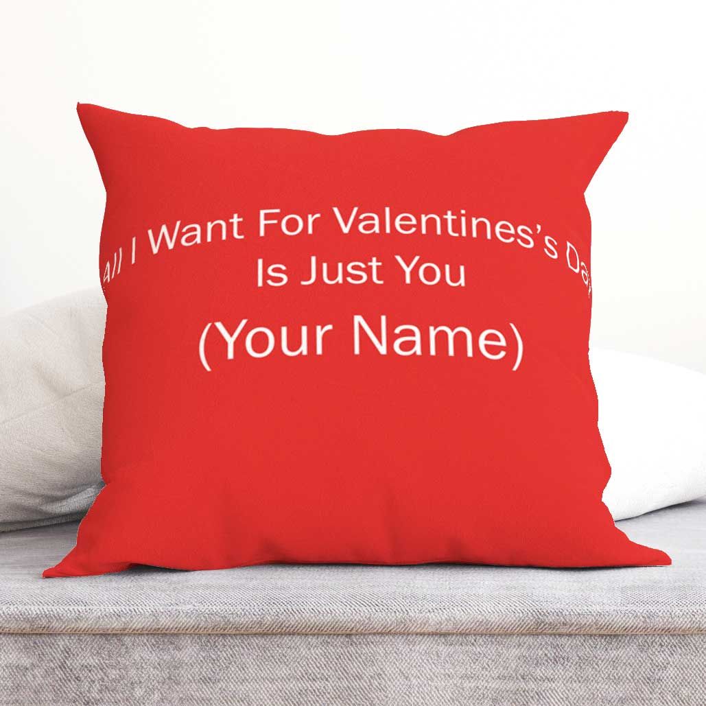 Customize  Cushion 02-Velvet Cushion / 16x16 / without